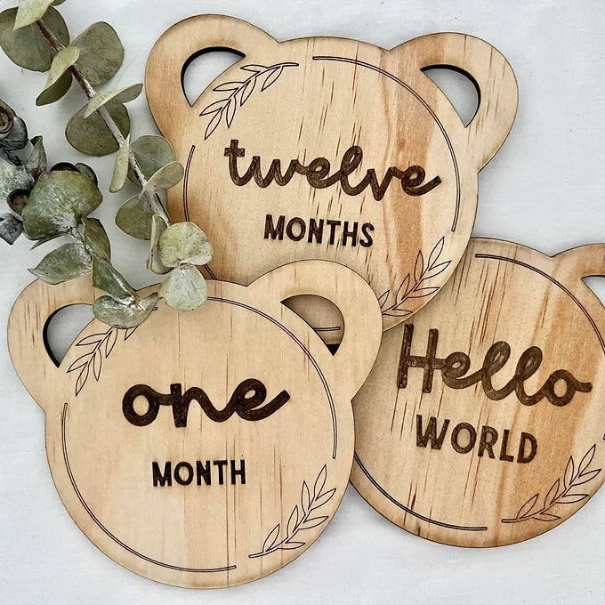 Baby Bear Monthly Milestone Discs